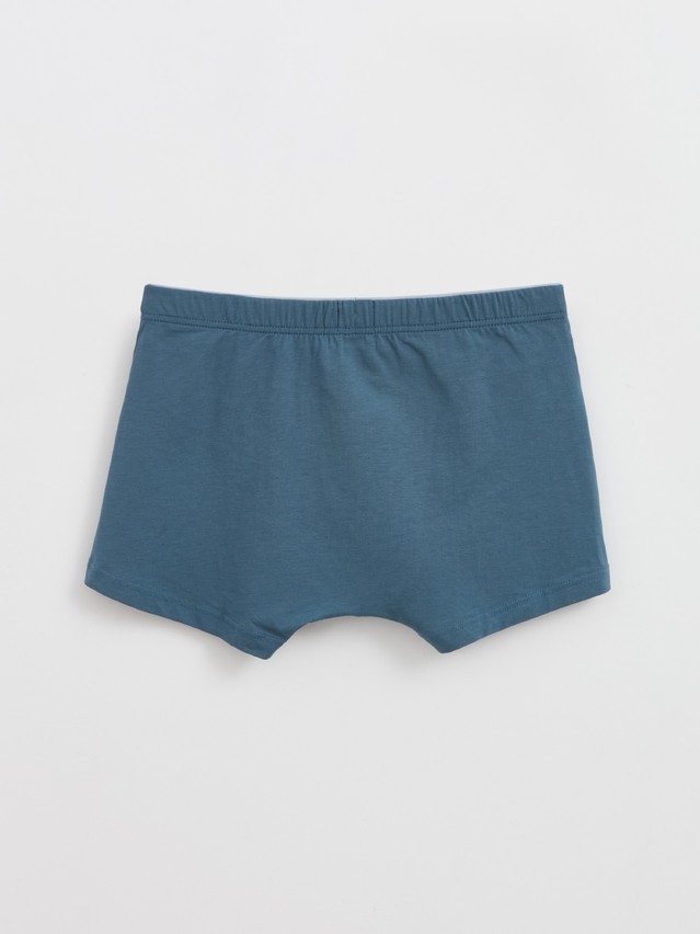 Men's underpants DIWARI BASIC MSH 2744, s.78,82, grey-blue - 2