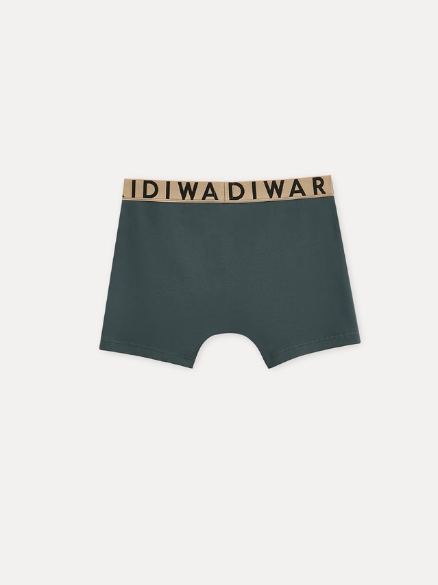 Men's underpants DIWARI PREMIUM MSH 3300, s.78,82, dark forest-beige - 2