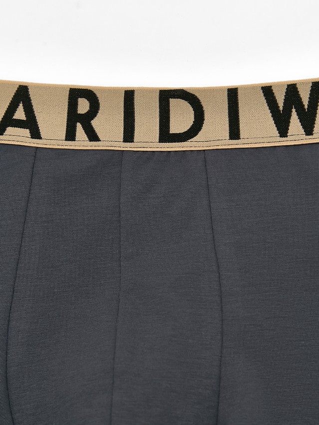 Men's underpants DIWARI PREMIUM MSH 3300, s.78,82, graphite-beige - 4