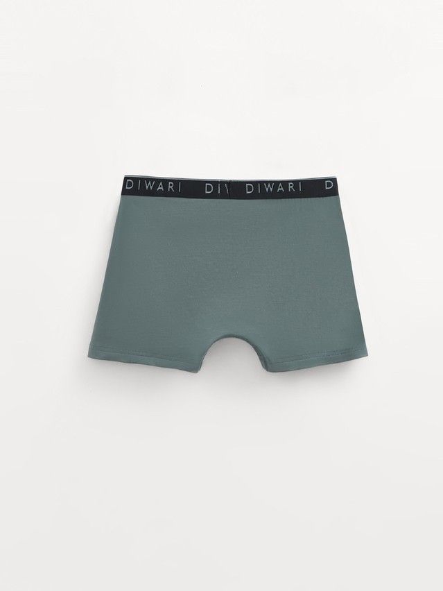 Men's underpants DIWARI PREMIUM MSH 1568, s.78,82, stormy green-silver black - 5