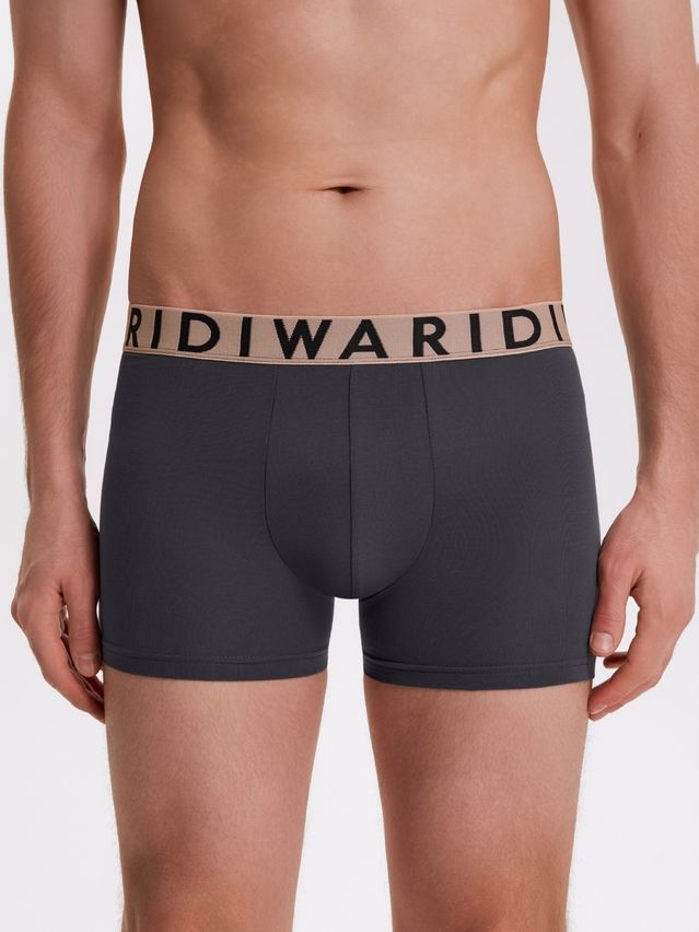 Men's underpants DIWARI PREMIUM MSH 3300, s.78,82, graphite-beige - 2