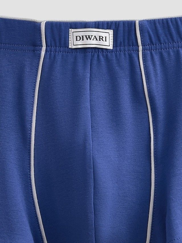 Men's underpants DIWARI PREMIUM MSH 760.1, s.78,82, royal blue-grey - 3