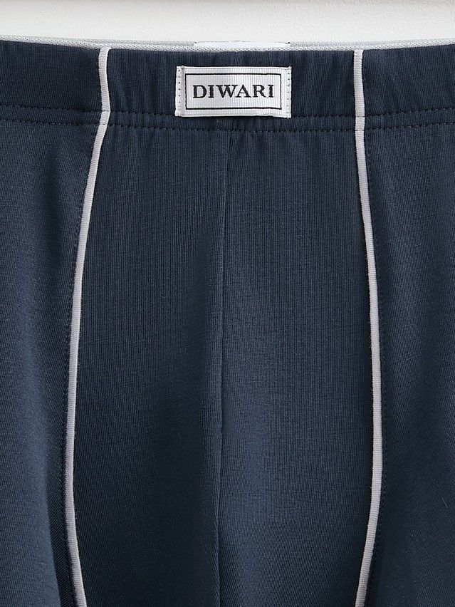 Men's underpants DIWARI PREMIUM MSH 760.1, s.78,82, navy-light grey - 3