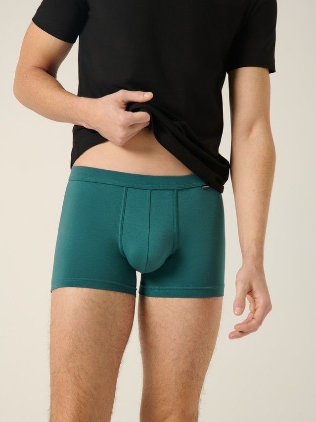 Men's underpants DIWARI PREMIUM MSH 1566, s.78,82, sea green - 4