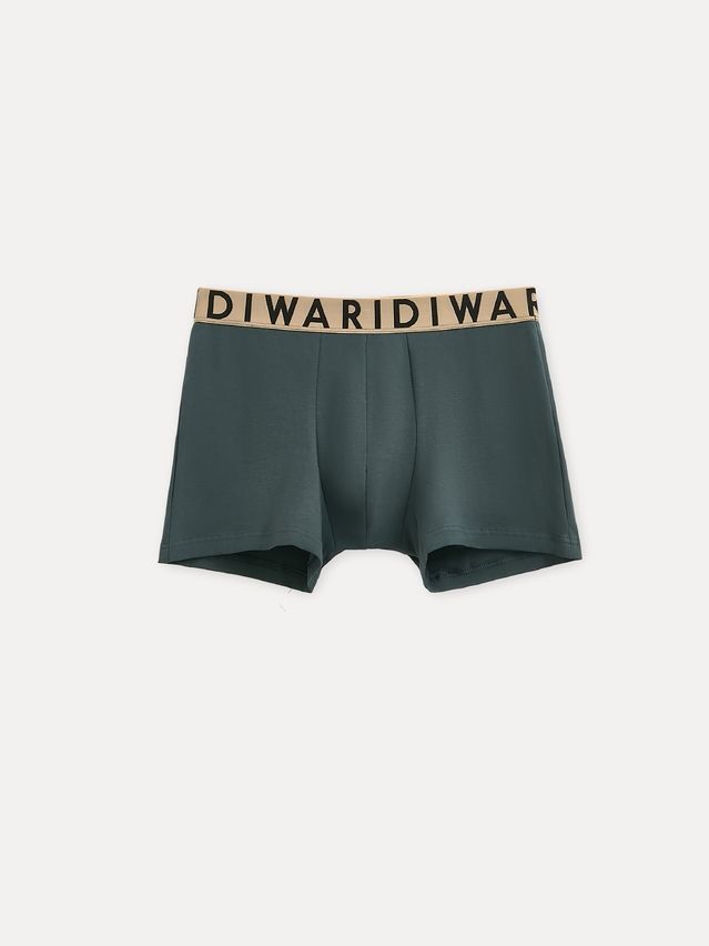 Men's underpants DIWARI PREMIUM MSH 3300, s.78,82, dark forest-beige - 5