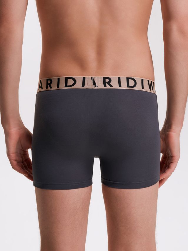Men's underpants DIWARI PREMIUM MSH 3300, s.78,82, graphite-beige - 3