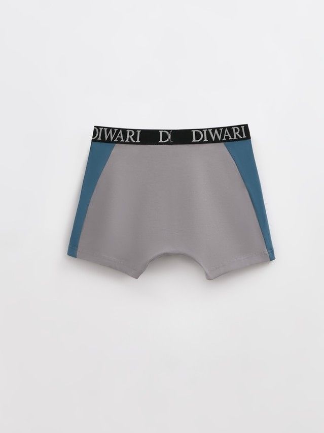 Men's underpants DIWARI BASIC MSH 2733, s.78,82, grey-grey blue - 2