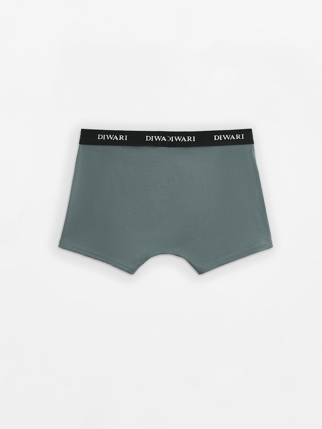 Men's underpants DIWARI BASIC MEN MSH 2147, s.78,82, stormy green - 2