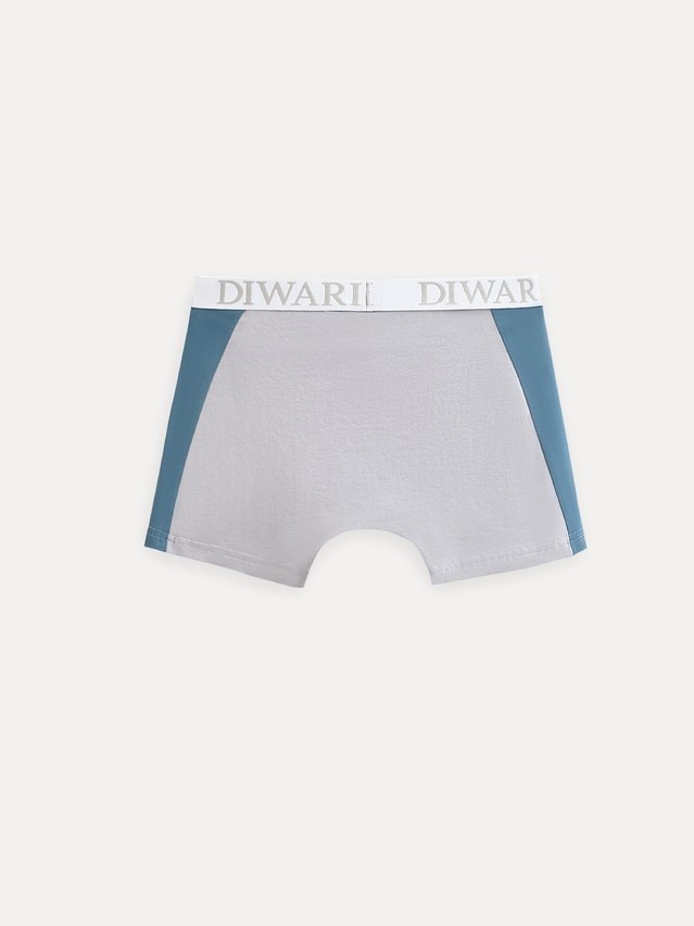 Men's underpants DIWARI BASIC MSH 2733, s.78,82, light grey-grey blue - 2