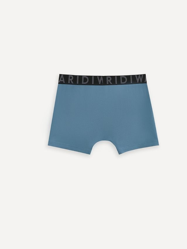 Men's underpants DIWARI PREMIUM MSH 3300, s.78,82, blue-graphite - 5