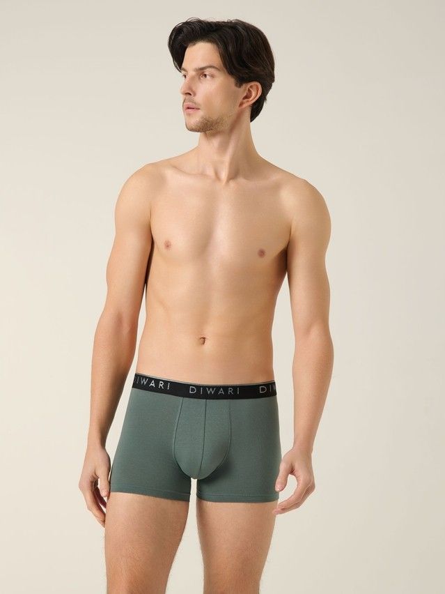 Men's underpants DIWARI PREMIUM MSH 1568, s.78,82, stormy green-silver black - 2