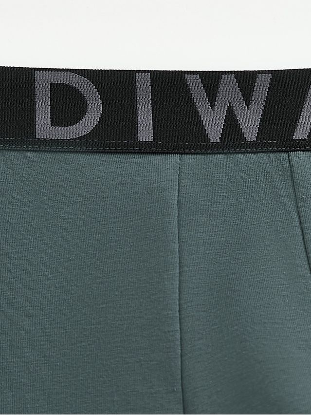 Men's underpants DIWARI PREMIUM MSH 3300, s.78,82, dark forest-graphite - 6