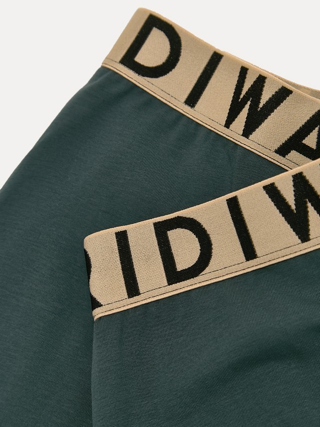 Men's underpants DIWARI PREMIUM MSH 3300, s.78,82, dark forest-beige - 3