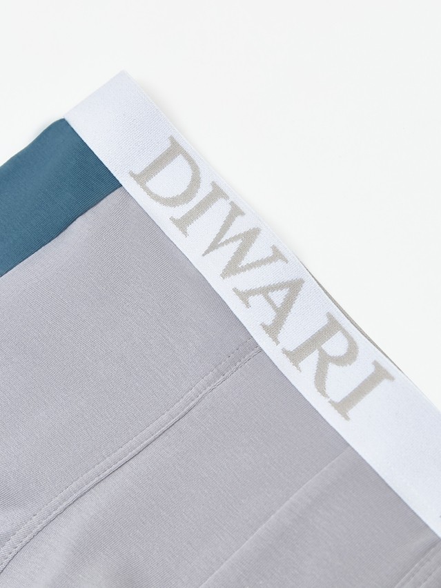 Men's underpants DIWARI BASIC MSH 2733, s.78,82, light grey-grey blue - 3