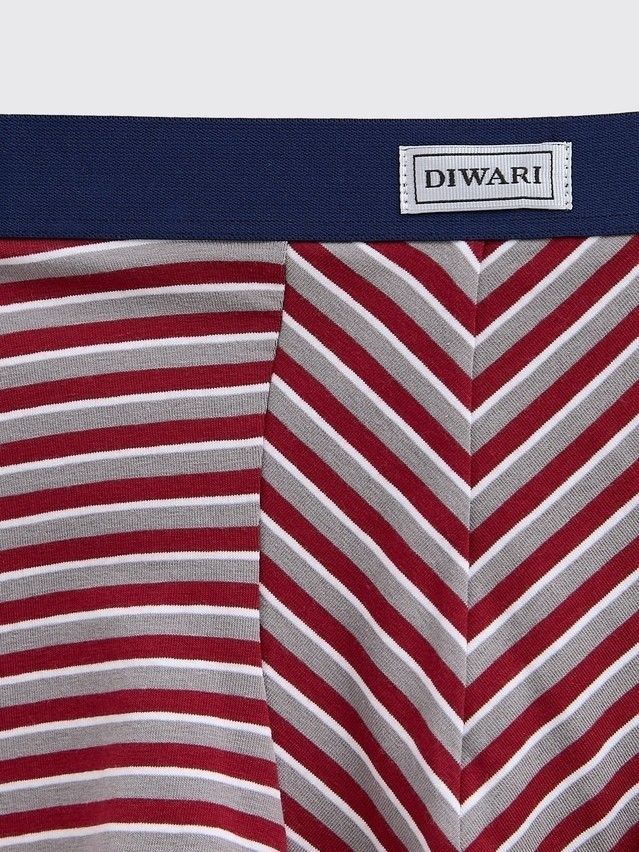 Men's underpants DIWARI BASIC MSH 2956, s.78,82, bordo-grey strip - 2