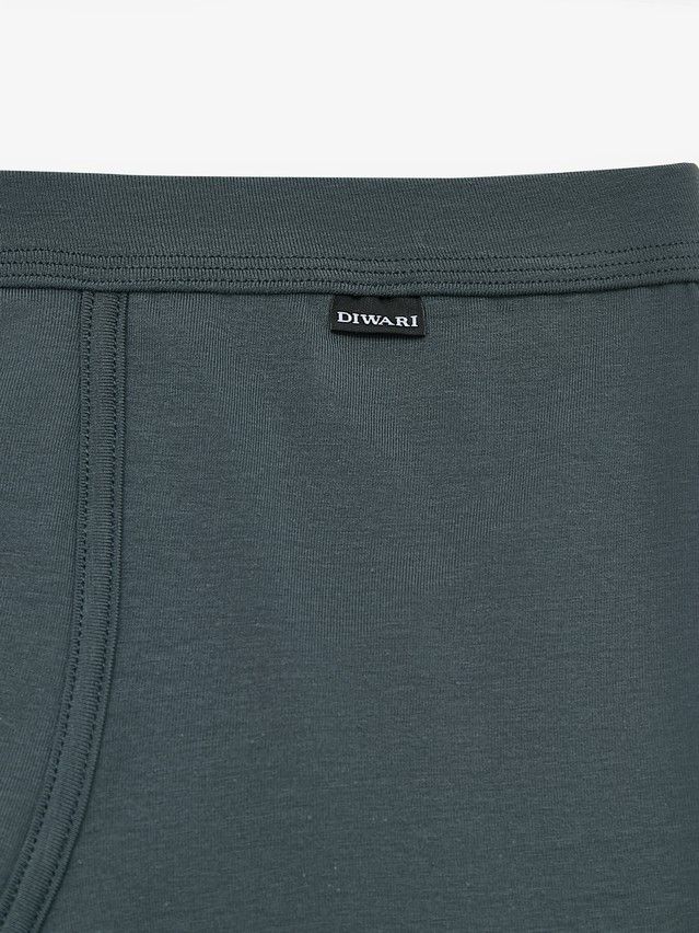 Men's underpants DIWARI PREMIUM MSH 1566, s.78,82, dark forest - 2