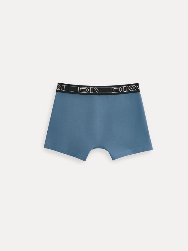Men's underpants DIWARI PREMIUM MSH 3600, s.78,82, blue-black/blue - 2