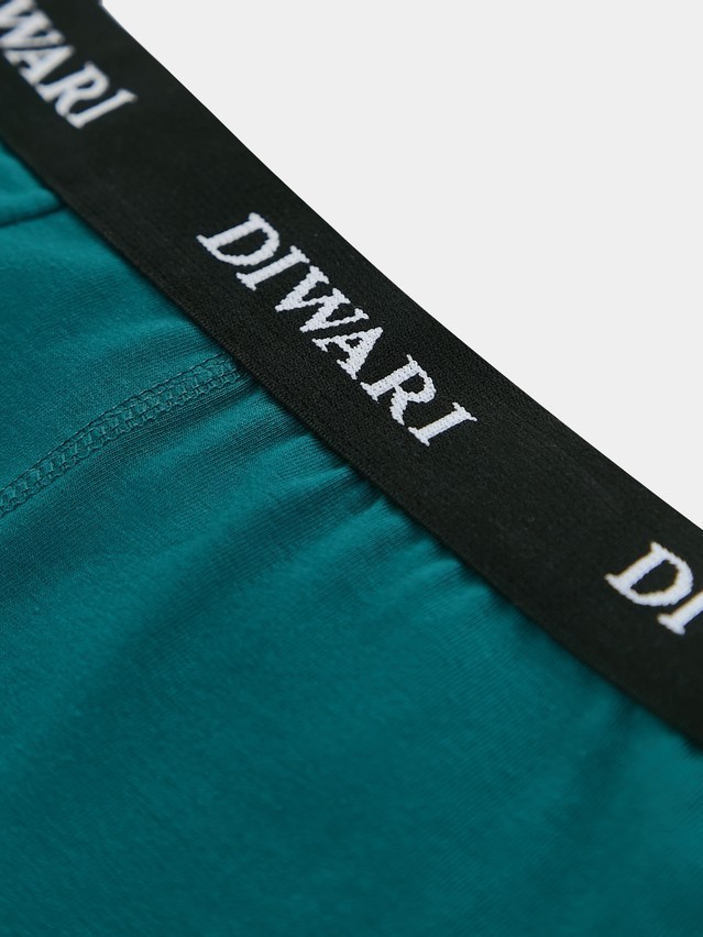 Men's underpants DIWARI BASIC MEN MSH 2147, s.78,82, emerald - 3