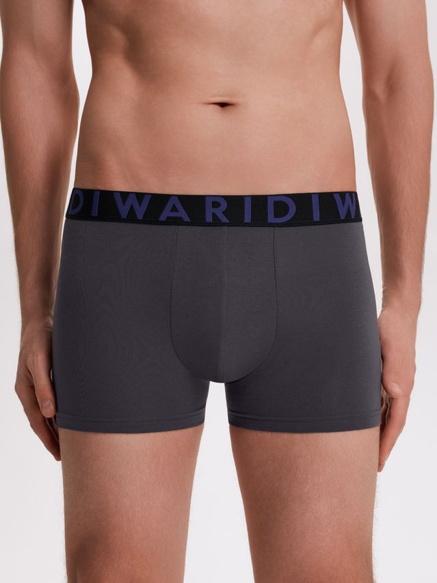 Men's underpants DIWARI PREMIUM MSH 3300, s.78,82, graphite-blue - 2