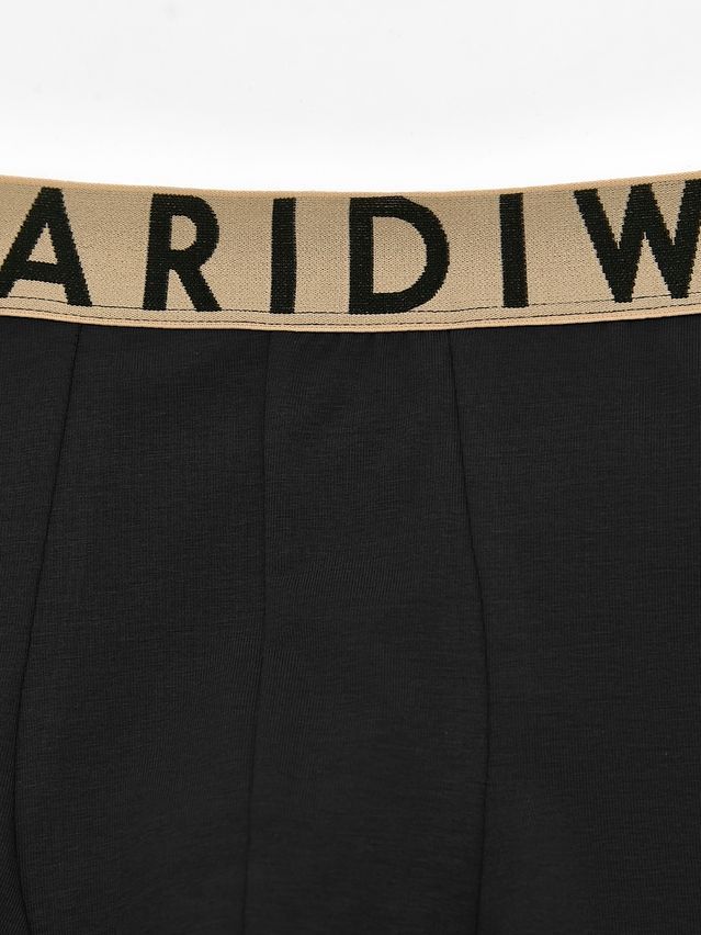 Men's underpants DIWARI PREMIUM MSH 3300, s.78,82, black-beige - 7