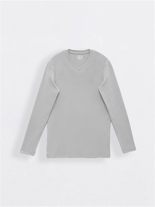 Men's polo neck shirt DiWaRi MD 696, s.170,176-100, light grey - 1