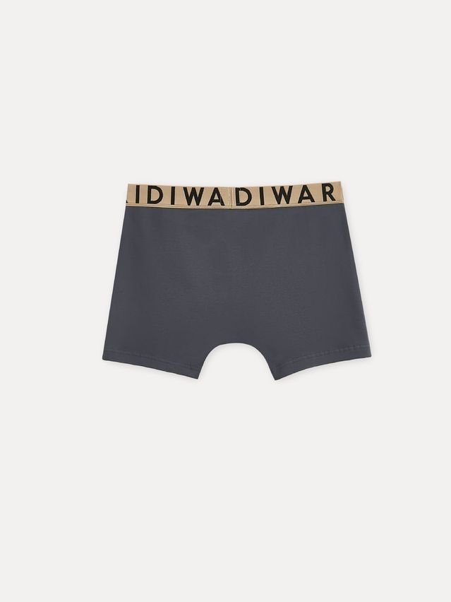 Men's underpants DIWARI PREMIUM MSH 3300, s.78,82, graphite-beige - 6