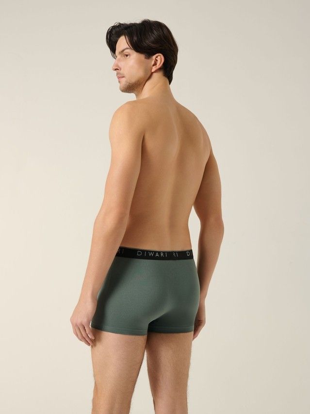 Men's underpants DIWARI PREMIUM MSH 1568, s.78,82, stormy green-silver black - 3