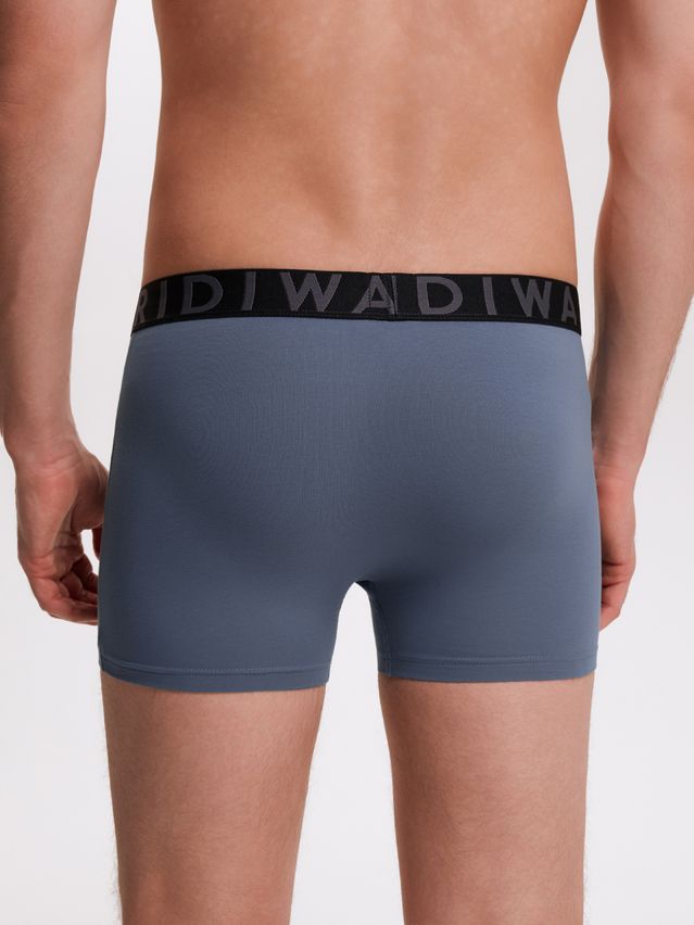 Men's underpants DIWARI PREMIUM MSH 3300, s.78,82, blue-graphite - 3