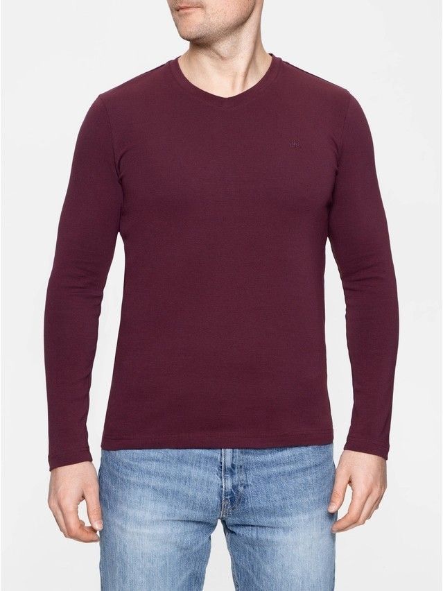 Men's polo neck shirt DiWaRi MD 696, s.170,176-100, wine-coloured - 3