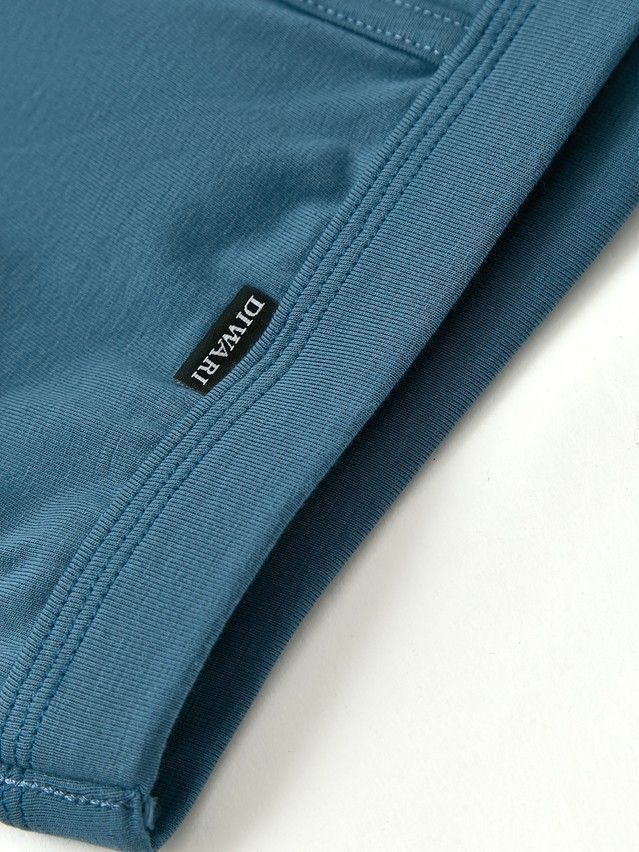 Men's underpants DIWARI PREMIUM MSH 1566, s.78,82, blue - 3