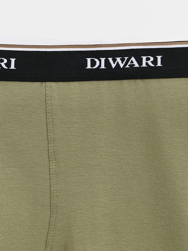 Men's underpants DIWARI PREMIUM MSH 1568, s.78,82, khaki-black strip - 7