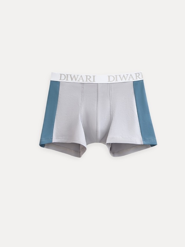 Men's underpants DIWARI BASIC MSH 2733, s.78,82, light grey-grey blue - 1