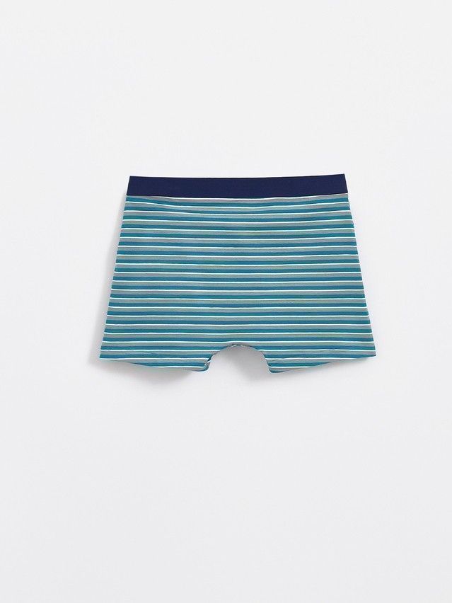 Men's underpants DIWARI BASIC MSH 2956, s.78,82, sea green strip - 3