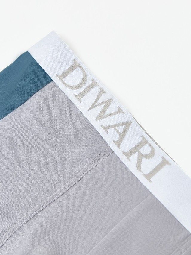 Men's underpants DIWARI BASIC MSH 2733, s.78,82, light grey-grey blue - 3