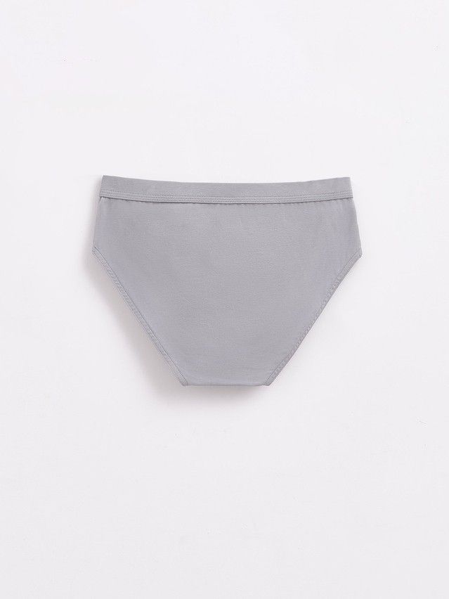 Men's underpants DiWaRi PREMIUM MSL 1567, s.110,114, grey - 2