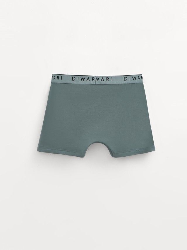 Men's underpants DIWARI PREMIUM MSH 1568, s.78,82, stormy green-silver blue - 2