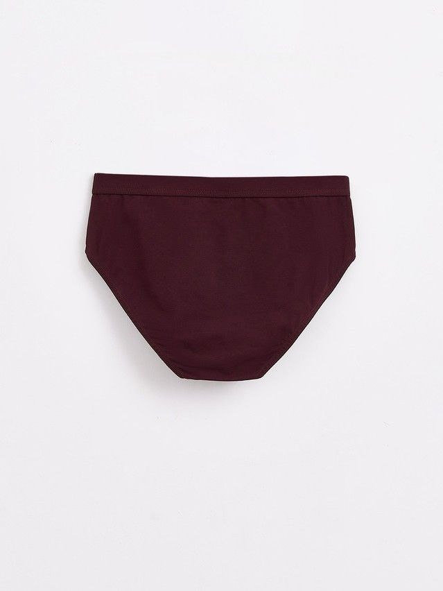 Men's underpants DiWaRi PREMIUM MSL 1567, s.78,82, dark bordo - 2