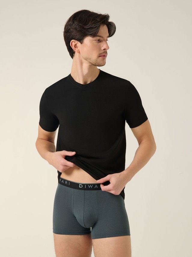 Men's underpants DIWARI PREMIUM MSH 1568, s.78,82, dark forest-silver black - 1