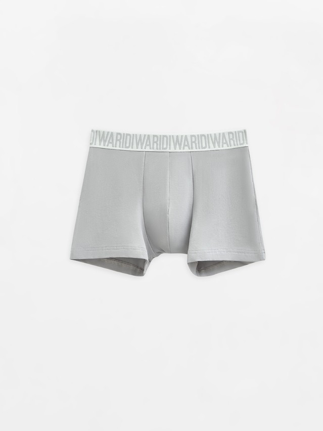 Men's underpants DIWARI PREMIUM MSH 3300, s.78,82, light grey-grey - 1