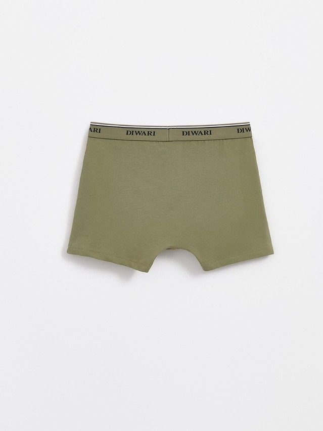 Men's underpants DIWARI PREMIUM MSH 1568, s.78,82, khaki-khaki strip - 6