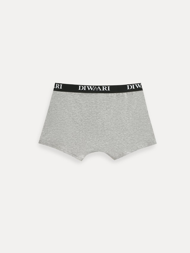 Men's underpants DIWARI BASIC MEN MSH 2147, s.78,82, grey melange - 2