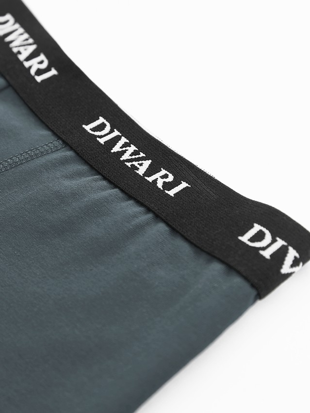 Men's underpants DIWARI BASIC MEN MSH 2147, s.78,82, dark forest - 3