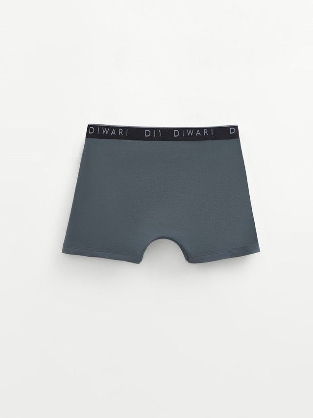 Men's underpants DIWARI PREMIUM MSH 1568, s.78,82, dark forest-silver black - 7