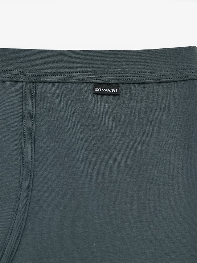 Men's underpants DIWARI PREMIUM MSH 1566, s.78,82, dark forest - 2