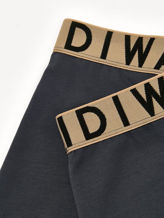 Men's underpants DIWARI PREMIUM MSH 3300, s.78,82, graphite-beige - 7