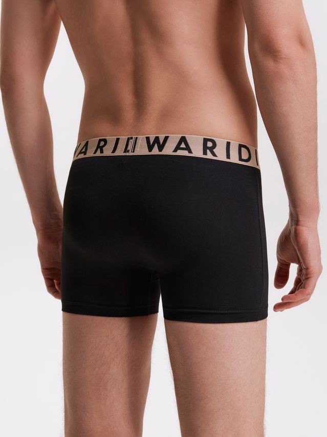 Men's underpants DIWARI PREMIUM MSH 3300, s.78,82, black-beige - 3