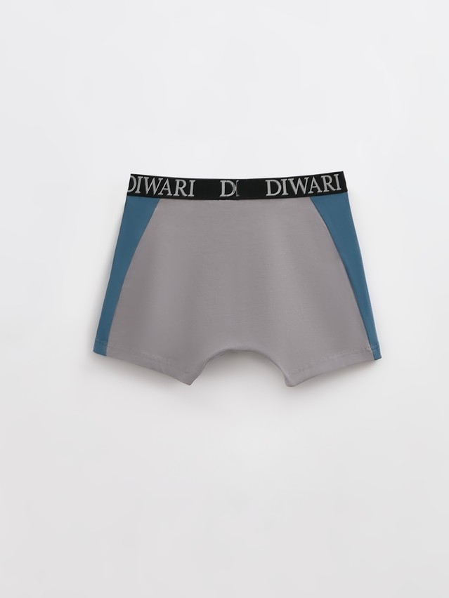 Men's underpants DIWARI BASIC MSH 2733, s.78,82, grey-grey blue - 2