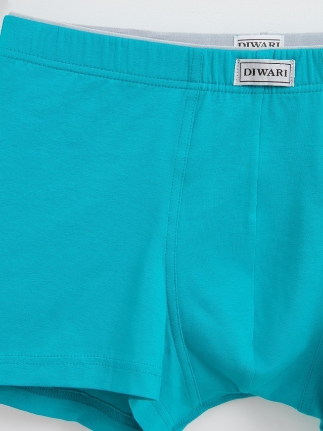 Men's underpants DIWARI BASIC MSH 2744, s.78,82, emerald - 3