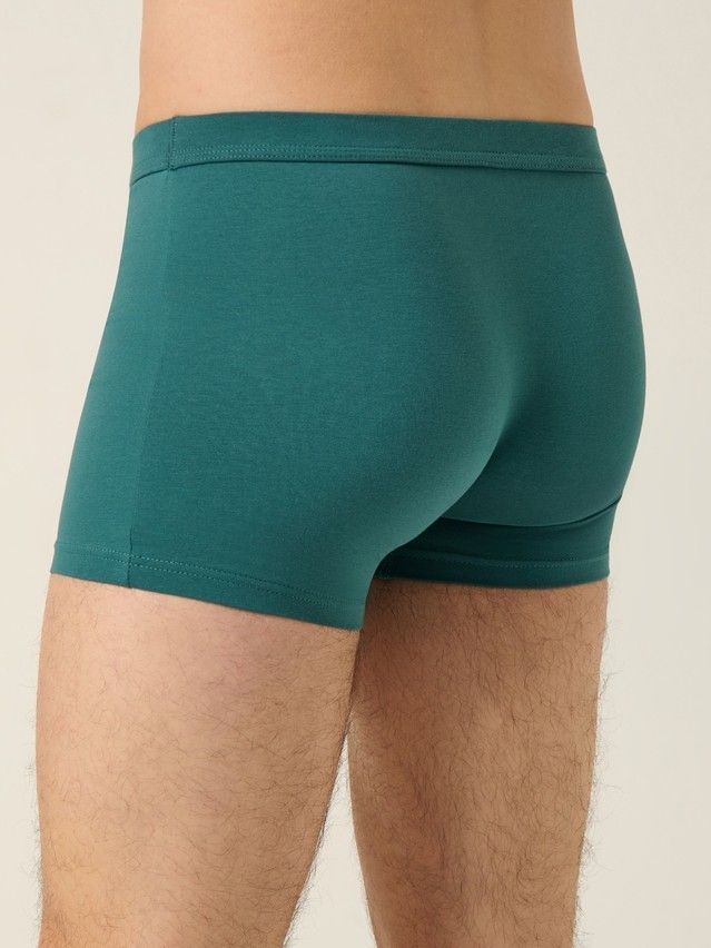 Men's underpants DIWARI PREMIUM MSH 1566, s.78,82, sea green - 5