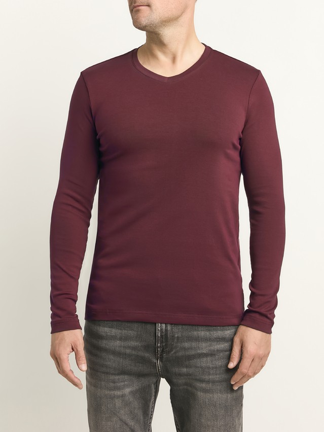 Men's polo neck shirt DIWARI BASIC MEN MD 4032, s.176,182-92, dark bordo - 1
